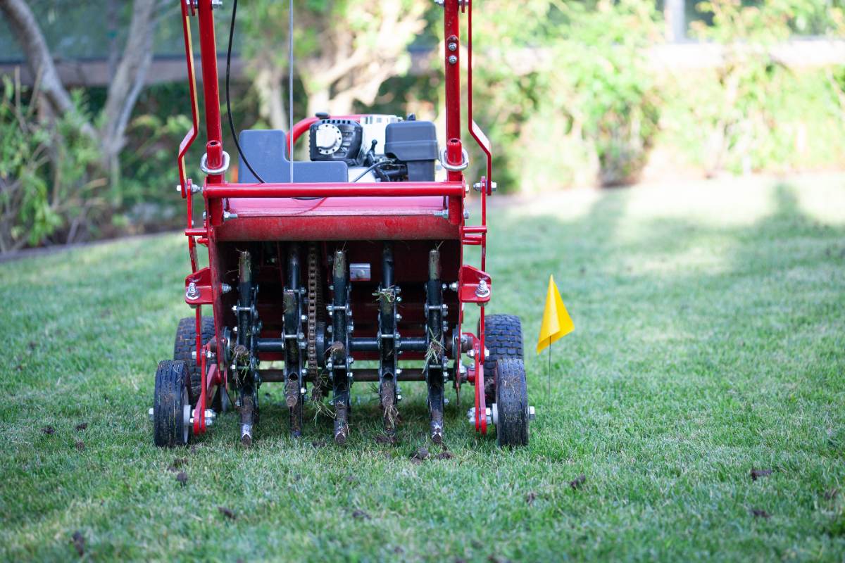 A realistic photo of a core aerator rolling across a backyard lawn leaving evenly spaced soil plugs on the grass, bright daytime lighting, suburban home in background